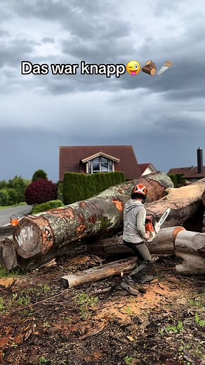 Da bewegen sich ein paar Tonnen🪵 #woodfornature #woodworking #holz #germany #badenwürttemberg #germany #deutschland #oak #eiche #schreiner #badenwürttemberg #stuttgart #metzingen #reutlingen #bodensee #konstanz #wohnzimmer #epoxidharz #table #kastanie#esszimmer #küche #nature #sustainability #handwerk #asmr