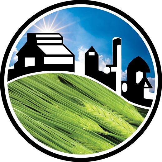 Our lentils are harvested by swathing, a method that promotes rapid, natural drying. Since we don’t use glyphosate for dry down, this helps us get an evenly mature crop. . . . #harvest2025 #lentils #farming #glyphosatefree #CaseIH #swathing #combineharvester #rollinghills #palouse #washingtonstate #palousebrand | Palouse Brand