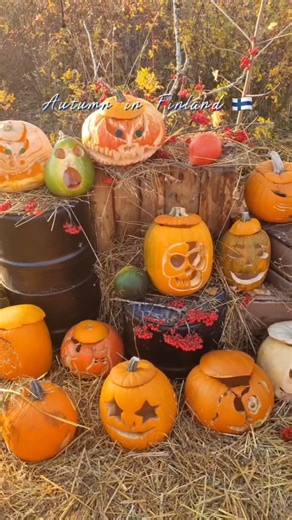 Autumn in Finland 🍁 My Favourite Things to Do