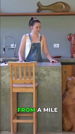 Dogs Are Secret Comedy Geniuses! You'll Laugh!