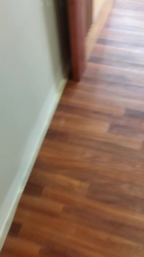 Done install spc flooring.. | Aeron Moreno