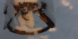 Outdoor Alaska: Trapping lynx near peak of cycle