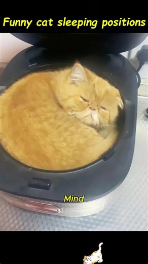 #funny #fyp #foryou #interesting #dubbing