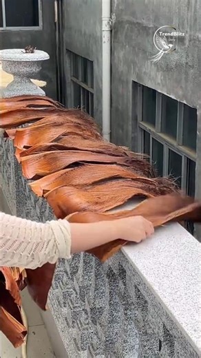 Premium Breathable Cloth Shoes Review | Comfort That Boosts Daily Performance