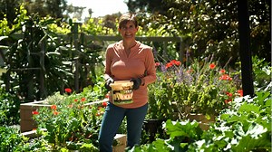 28 reactions | Gardening is all about the soil, focus on the soil and getting it right, then the results will speak for themselves. Seasol Biochar with Zeolite brings soil back to life with a dynamic mix of all-natural Biochar, Seasol, Zeolite and Paramagnetic rock (rock minerals).  For more information, please visit: https://www.seasol.com.au/home-garden/soil/ #seasolbiochar #soil #soilstructureimprover #bunnings | Seasol | Facebook