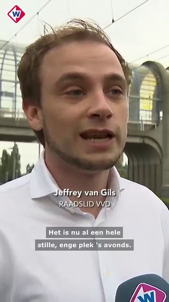 Wat moet er gebeuren met de Nelson Mandelabrug? | #shorts