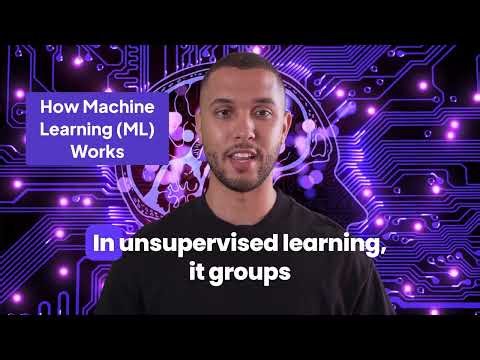 How Machine Learning (ML) Works