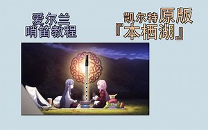 【跟我学哨笛】爱尔兰版本栖湖 The Cradling Arms of Croaghan 新手指法详解教程【熊猫教程】