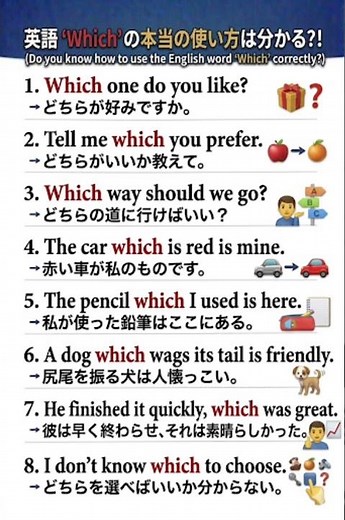 How to Use “Which” Correctly in English
