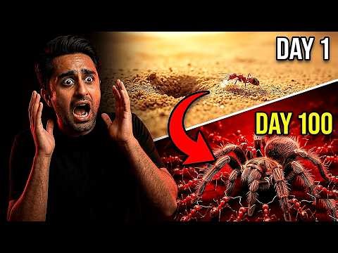 1,000 Fire Ants vs Deadly Spider