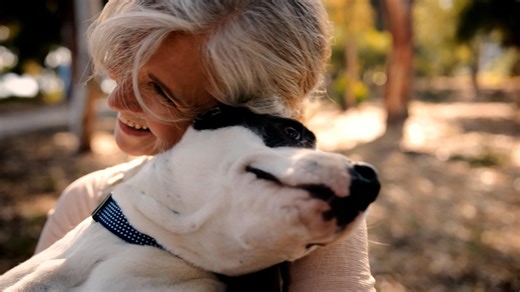 These 8 dog breeds offer the best return on your love