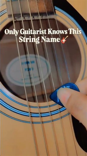 String Name 🎸? #guitar #strings #guitarlesson
