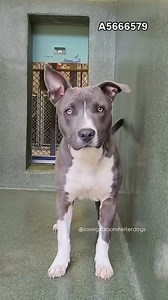 5.1K views · 757 reactions |  Rescued  A5666579 ✰ Unknown...