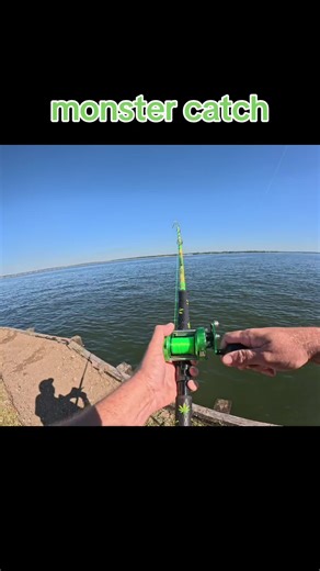 Giant soft shell was safely released #fishing #turtle #CPR