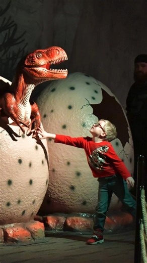 Chicago and northern Illinois are packed with dino-sized fun! 🦖 Families can plan a road trip that spans iconic museums, interactive digs and animatronic adventures. See Sue the T. rex at the Field Museum, dig into hands-on exhibits at the Chicago Children’s Museum, meet Jane the juvenile T. rex in Rockford, encounter Dryptosaurus in Libertyville and wander through Jurassic Gardens in Volo. It’s a dino adventure that combines world-famous fossils with playful stops for kids of all ages. 🌆🦕 #c