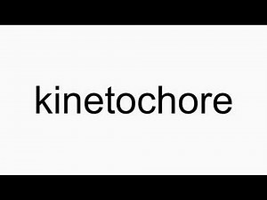 How to pronounce kinetochore