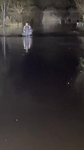 94K views · 1.8K reactions | 3am this morning our driver Mark was struggling to get to the truck: (he rides his bike to work) he called Ray for help. Ray managed to get this close to him before he was up against the floods, Mark then waded through the water to get to the car so he could get to the truck and start work. Don’t make drivers like this anymore, top man Rigby. Hope you have dried out now  | Whites Transport Services Ltd | Facebook