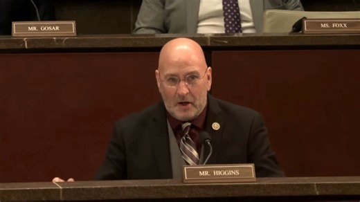 Expert witness testimony regarding Somali immigrant theft of $9B in Minnesota… | Congressman Clay Higgins