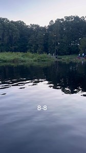 4.8K views · 10K reactions | DANGER ON THE KISSIMMEE RIVER!!! #panfishing #bluegill #fishing #florida #crappie #bassfishing #shellcracker #Dangerous #floridafishing K9 Fishing Products SWAMP STIXX Custom Rods Flop Industries Everlasting Slip Bobber Slick Sticks Custom Rods Ruth B Glanton | Branden Scott | Facebook