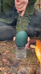First step prepare the alien egg 👽 #emuegg #firekitchen #asmr | Foodie Cook - Boom Chef
