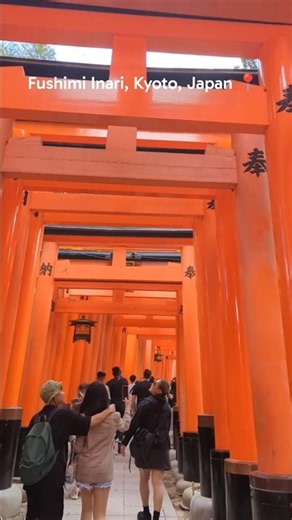 Fushimi Inari: Climb To The Top ⛩️ #travel #shorts #kyoto #japan #explore #travelvlog #fushimiinari