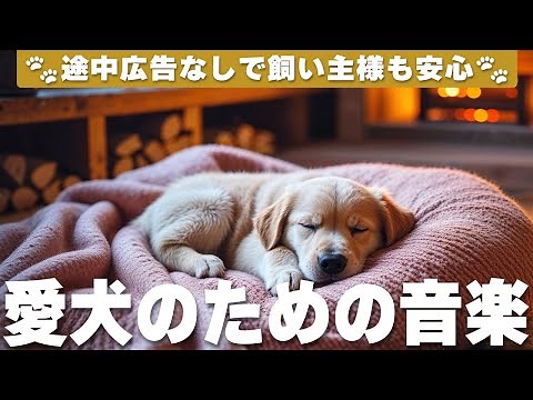 広告なし🐶犬が落ち着くリラックス音楽 / 犬のリラックス音楽 / 犬のお留守番 / healing dog music / vol.471