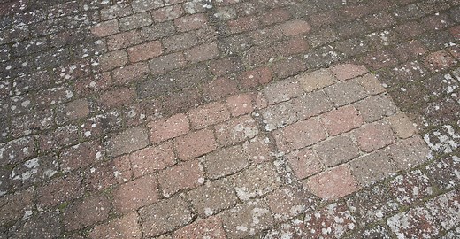 Flisepest på terrassen – sådan fjerner du det bedst og mest effektivt