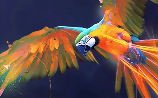 适合网安初学者的Linux系统- Parrot