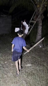 5.2M views · 10K reactions | Horor Movie #scary #ghost #horor #filmhantu | Mahyar | Facebook