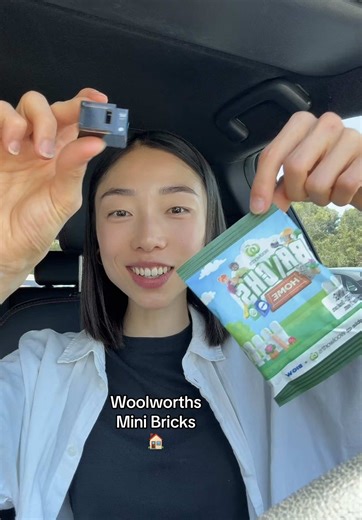 Cute Woolworths Mini Bricks Collectables Review