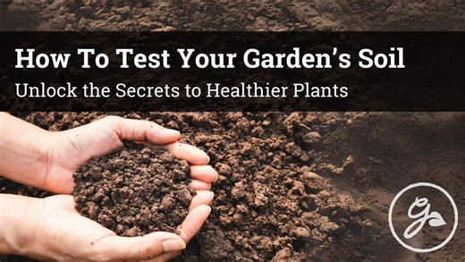 How to analyze your soil to improve your garden