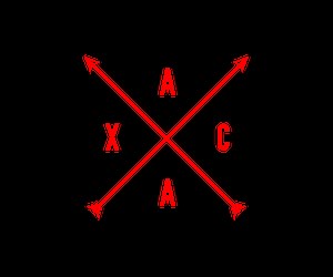 Home — All-American Cross Country Camp