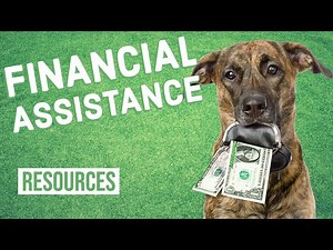 Financial Assistance for Pet Owners