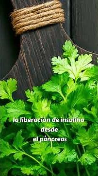 El cilantro y sus cuatro secretos nutritivos #saludnatural #alimentossanos #bienestar #tips