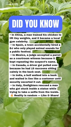 134K views · 749 reactions | Random Real Events That Make Zero Sense 勞 #facts | Daily Brain T | Facebook