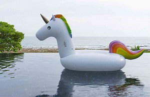 Une amende de 68€ pour avoir transporté une gigantesque bouée licorne sur le toit de sa voiture...