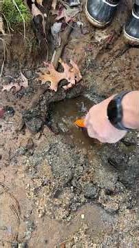 Pinpointer en acción #metaldetecting #metaldetector