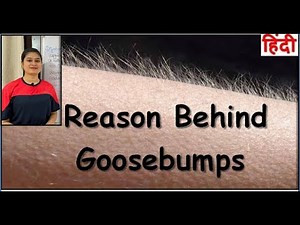 Reason Behind Goosebumps | Muscle Responsible for Goosebumps