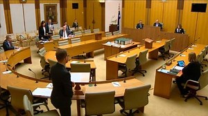 59K views · 755 reactions | The human rights and political rights of the Oromo people are under attack in Ethiopia. There are disturbing reports of violence against Oromo protesters that has left 1000 civilians dead and the imprisonment of tens of thousands of people for exercising their right to political protest. I call on the Australian government to stand up for human rights for the Oromo people. | Adam Bandt | Facebook