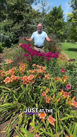 Plant Color Harmony: A Garden Combination for Stunning Views #thepreppygardener