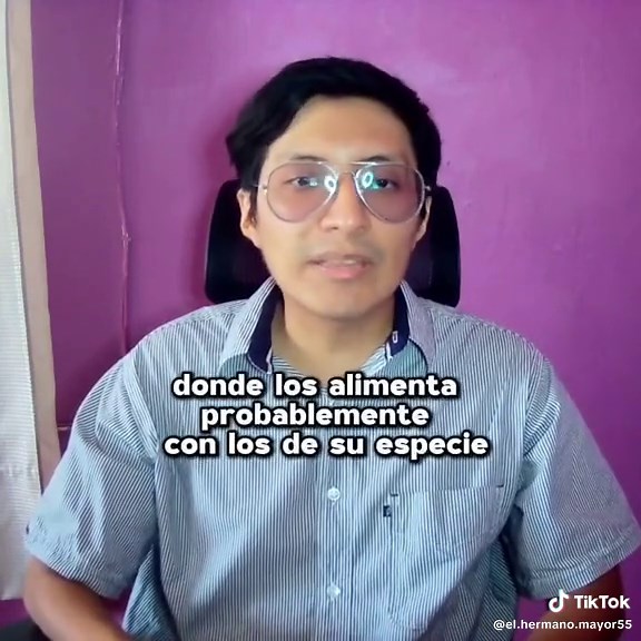 El hombre más inteligente del universo está solo. parte 1 #moyplay | moyplay