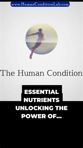 The Minerals and Electrolytes are Foundation of all Nutrition #healthy #healthtips #holistichealth #thehumancondition #holisticwellbeing #holisticmedicine #holisticwellness #functionalneurology #chiropracticneurology #thehumancondition_drpierce #drpierce #mineraldeficiency #digestiveheath