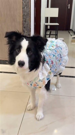 Floral Dress Frenzy: Summer's Must-Have Trend