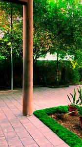 James Mathew on Reels