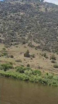 Jefferson River