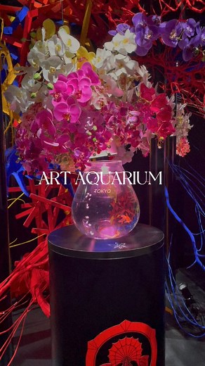 Art Aquarium Museum in #tokyo I wasn’t sure what to expect but it was sooo pretty #japan #art #artmuseum #ArtAquariumMuseum | Tomechia Howse-Williams