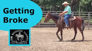 A lot of holes were missed when this horse was started. Filling in the holes and getting him broke. Update on poorly started horse. | Tim Anderson Horse Training