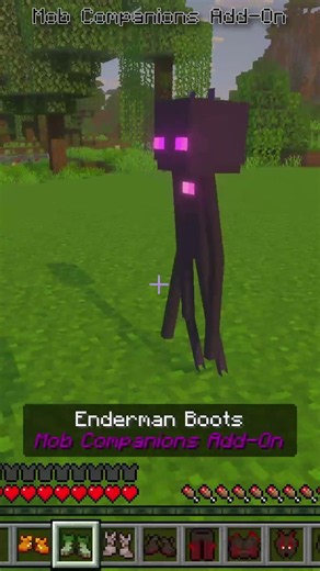 Summon Armor from the Mob Companions Add-On
