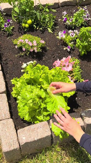 This is your sign to grow your own garden