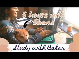 Study with me live 6 hours - pomodoro 50/10 - medical student